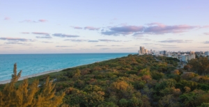 Eighty Seven Park Image