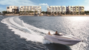 Iris on the Bay Image